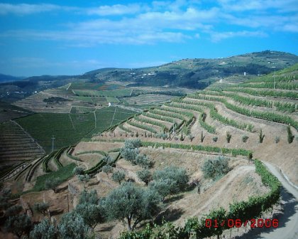 Douro